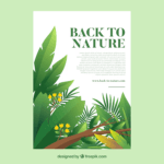 Green Cover or Vegetation